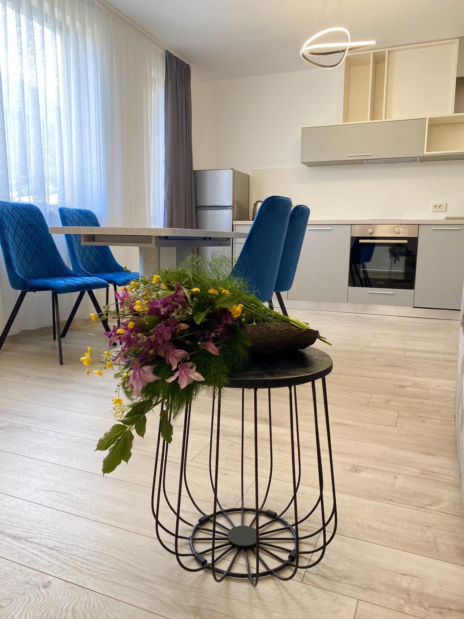 Sapareva Apartments ساباريفا بانيا المظهر الخارجي الصورة